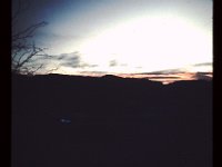 Landscape 5
